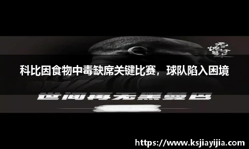 南宫NG·28