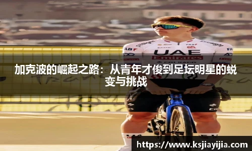 南宫NG·28