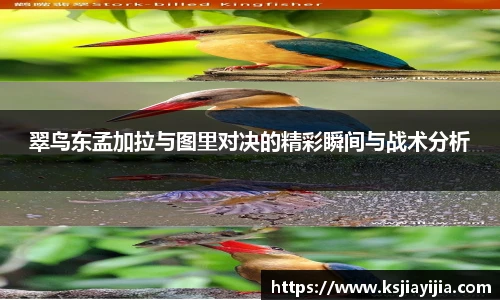南宫NG·28